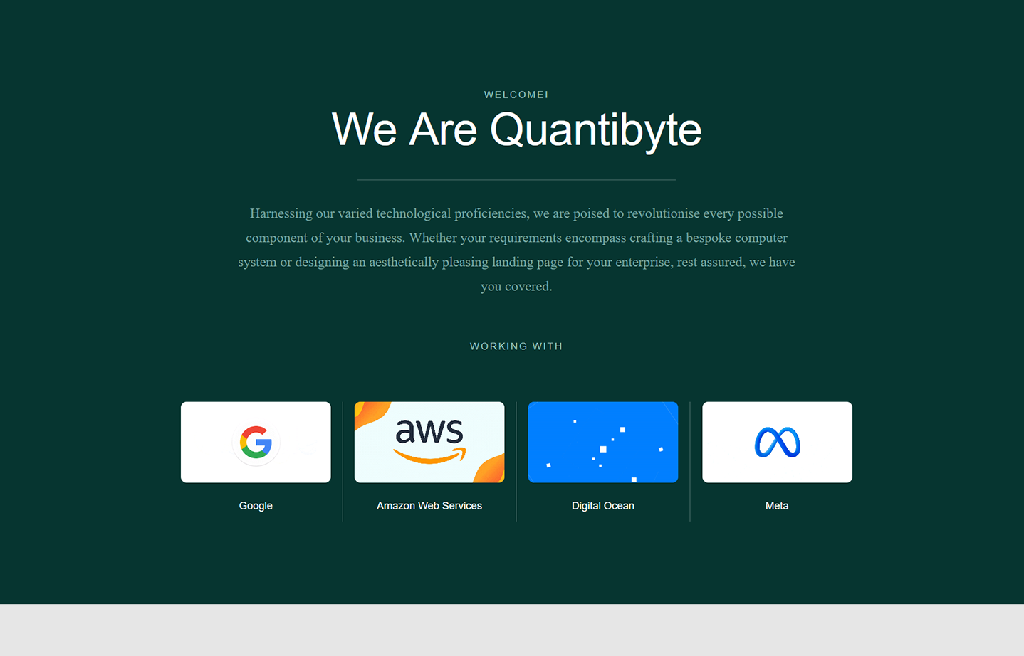 A screenshot of Quantibyte's website