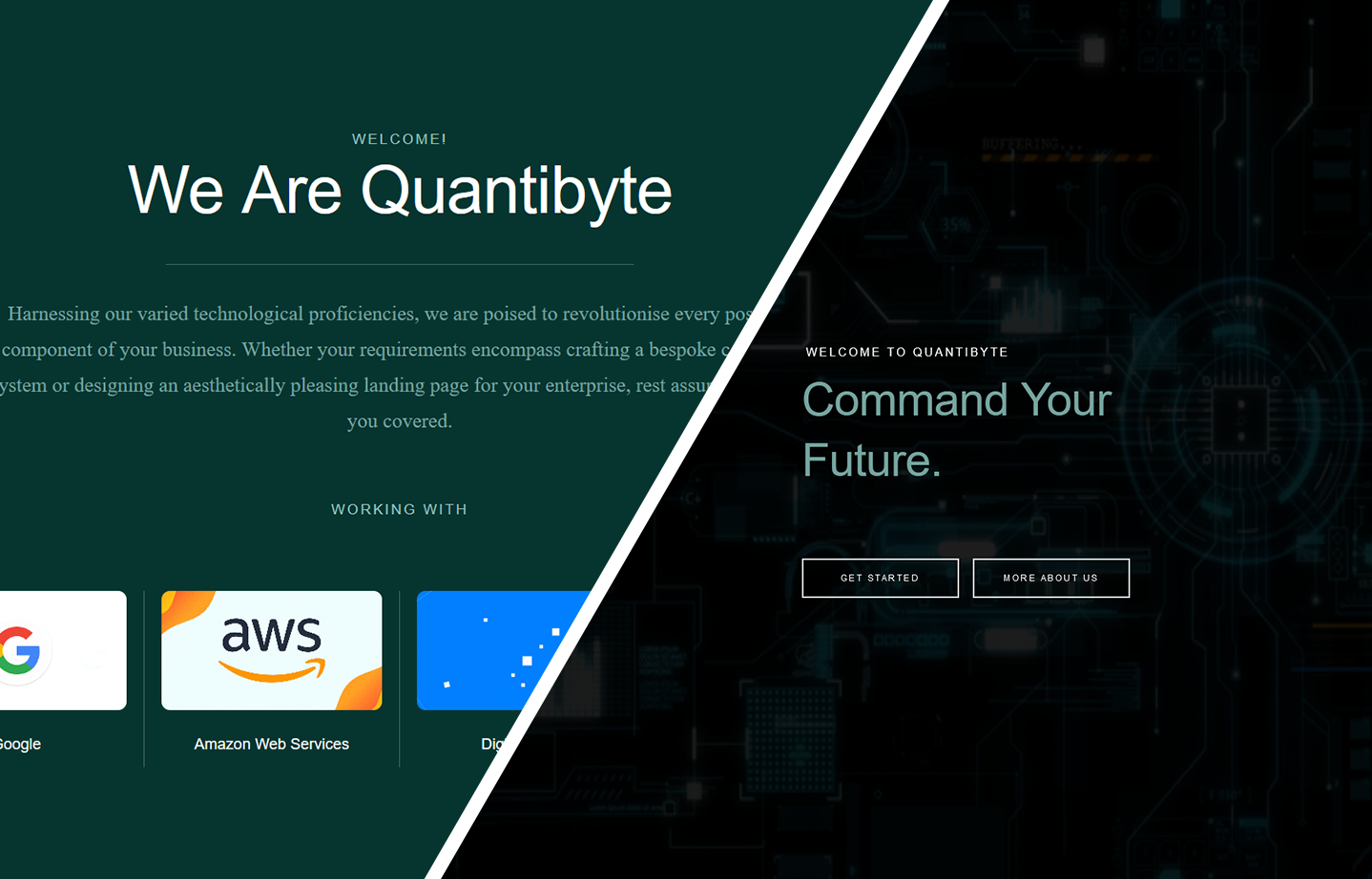 A screenshot of Quantibyte's website