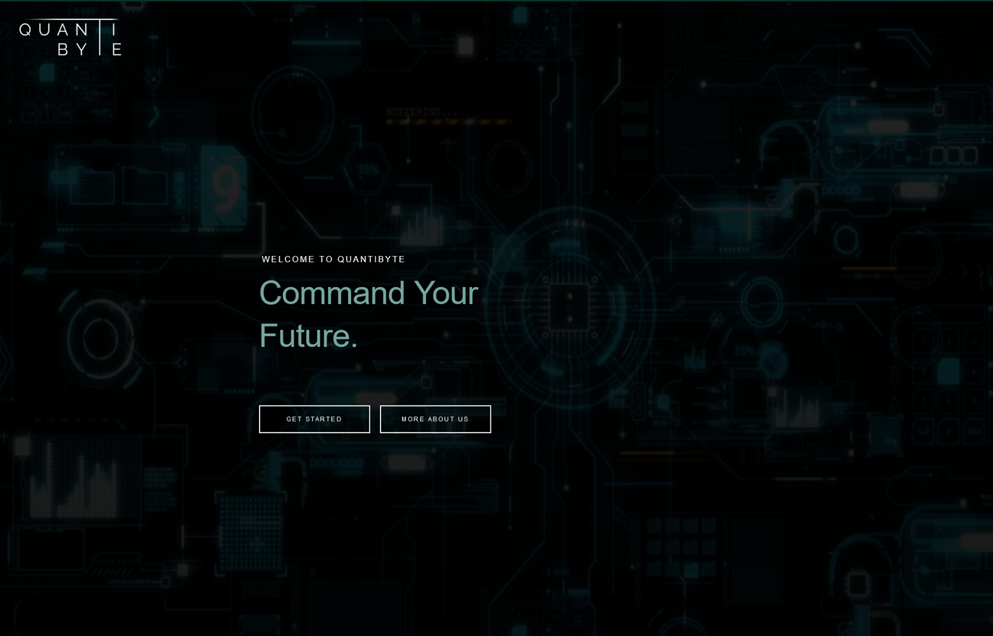 A screenshot of Quantibyte's website
